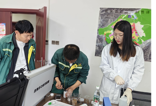 蘑菇影视技术指导与操作培训